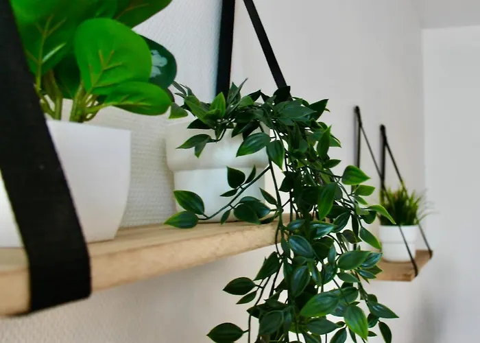 Le Logis De L'arquebuse Gare, Centre Et Cite Gastronomique *